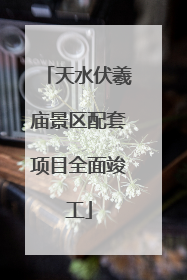天水伏羲庙景区配套项目全面竣工
