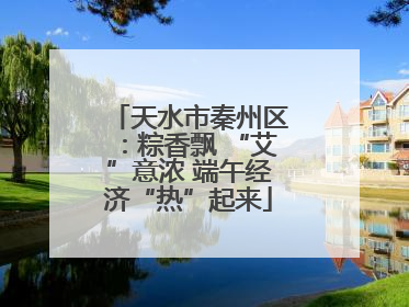 天水市秦州区：粽香飘 “艾”意浓 端午经济“热”起来