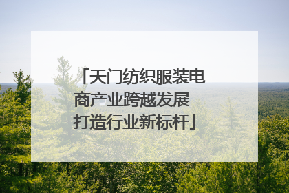 天门纺织服装电商产业跨越发展 打造行业新标杆
