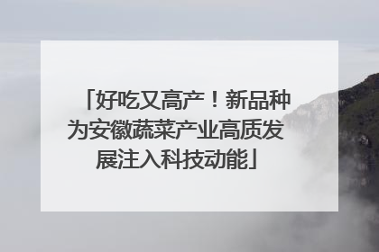 好吃又高产！新品种为安徽蔬菜产业高质发展注入科技动能