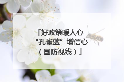好政策暖人心 “孔雀蓝”增信心（国防视线）