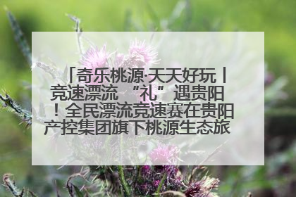 奇乐桃源·天天好玩丨竞速漂流 “礼”遇贵阳！全民漂流竞速赛在贵阳产控集团旗下桃源生态旅游度假区举行