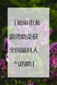 如皋市龙游湾路荣获全国最具人气的路