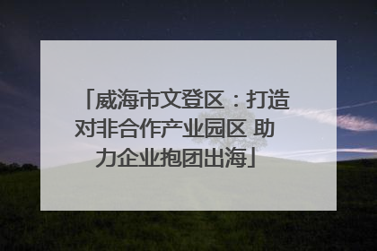 威海市文登区：打造对非合作产业园区 助力企业抱团出海