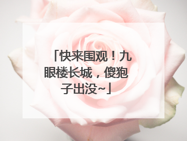 快来围观！九眼楼长城，傻狍子出没~