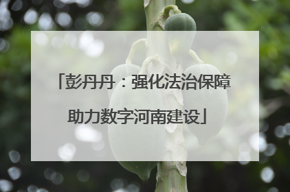 彭丹丹：强化法治保障 助力数字河南建设