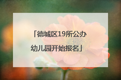 德城区19所公办幼儿园开始报名