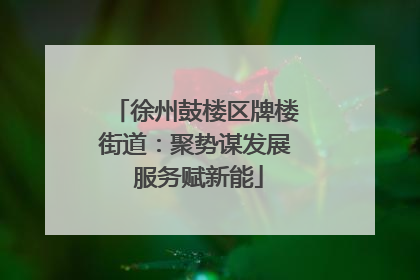 徐州鼓楼区牌楼街道：聚势谋发展 服务赋新能