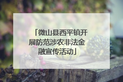 微山县西平镇开展防范涉农非法金融宣传活动