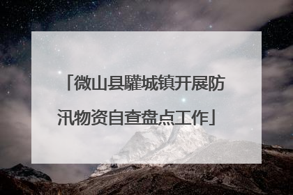 微山县驩城镇开展防汛物资自查盘点工作