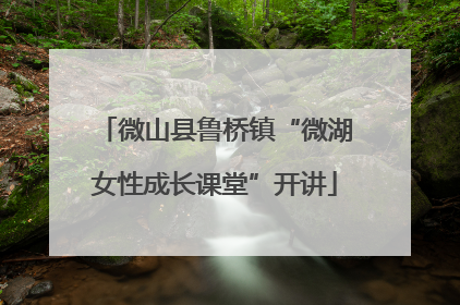 微山县鲁桥镇“微湖女性成长课堂”开讲