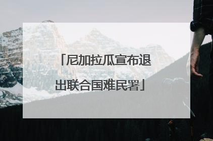尼加拉瓜宣布退出联合国难民署