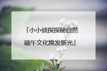 小小侦探探秘自然 端午文化焕发新光