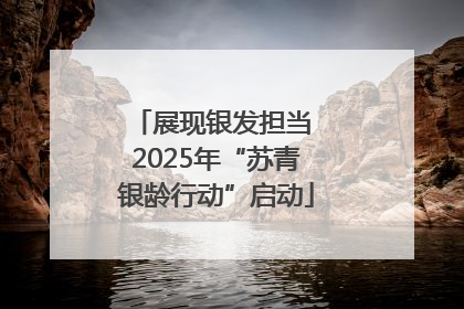 展现银发担当 2025年“苏青银龄行动”启动