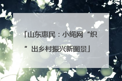 山东惠民：小绳网“织”出乡村振兴新图景