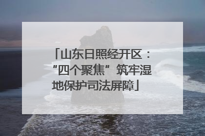 山东日照经开区：“四个聚焦”筑牢湿地保护司法屏障