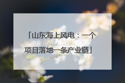 山东海上风电：一个项目落地一条产业链