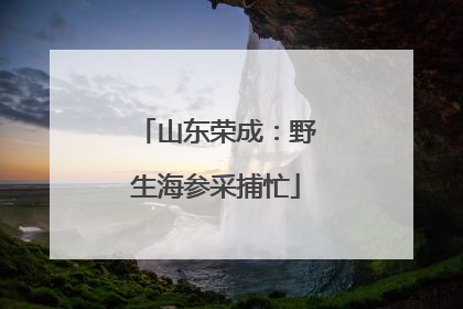 山东荣成：野生海参采捕忙