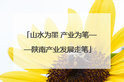 山水为墨 产业为笔——陕南产业发展走笔