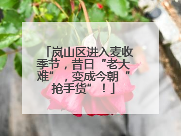 岚山区进入麦收季节，昔日“老大难”，变成今朝“抢手货”！
