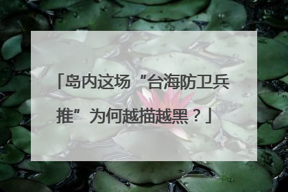岛内这场“台海防卫兵推”为何越描越黑？