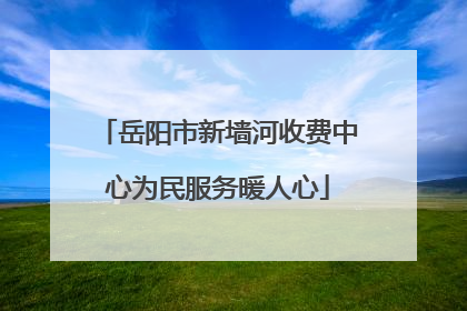 岳阳市新墙河收费中心为民服务暖人心