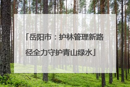 岳阳市：护林管理新路径全力守护青山绿水