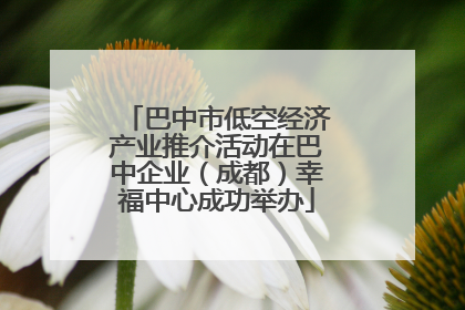 巴中市低空经济产业推介活动在巴中企业（成都）幸福中心成功举办