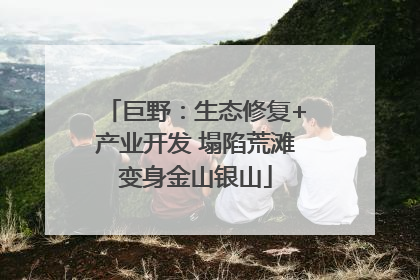 巨野：生态修复+产业开发 塌陷荒滩变身金山银山