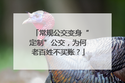 常规公交变身“定制”公交，为何老百姓不买账？
