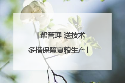 帮管理 送技术 多措保障夏粮生产