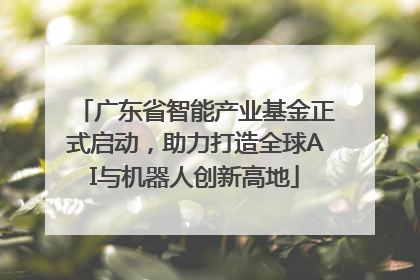 广东省智能产业基金正式启动，助力打造全球AI与机器人创新高地