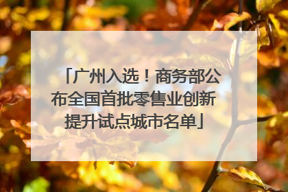 广州入选！商务部公布全国首批零售业创新提升试点城市名单