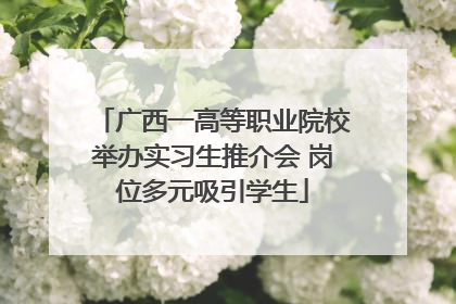 广西一高等职业院校举办实习生推介会 岗位多元吸引学生