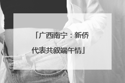 广西南宁：新侨代表共叙端午情