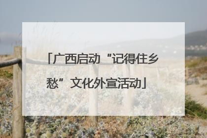 广西启动“记得住乡愁”文化外宣活动