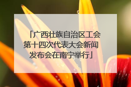 广西壮族自治区工会第十四次代表大会新闻发布会在南宁举行