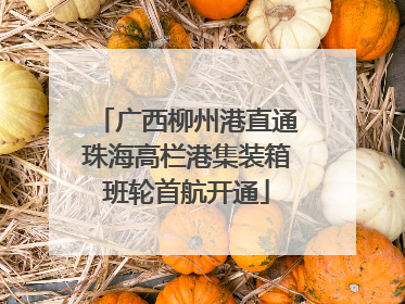 广西柳州港直通珠海高栏港集装箱班轮首航开通