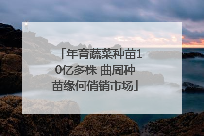 年育蔬菜种苗10亿多株 曲周种苗缘何俏销市场