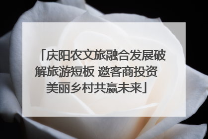 庆阳农文旅融合发展破解旅游短板 邀客商投资美丽乡村共赢未来