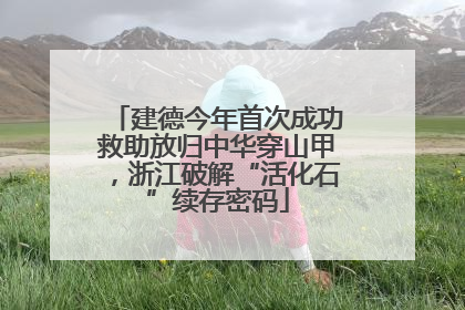 建德今年首次成功救助放归中华穿山甲，浙江破解“活化石”续存密码