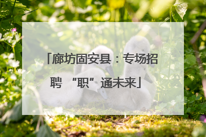 廊坊固安县：专场招聘 “职”通未来
