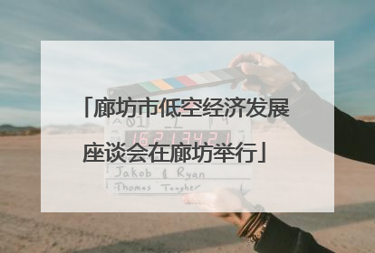 廊坊市低空经济发展座谈会在廊坊举行