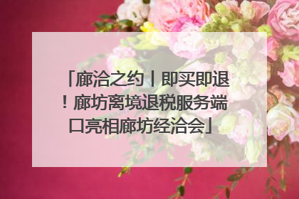 廊洽之约丨即买即退！廊坊离境退税服务端口亮相廊坊经洽会