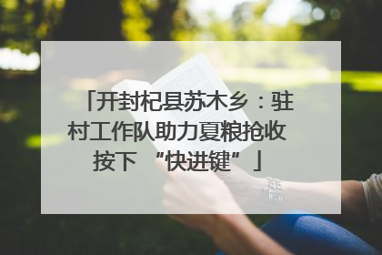 开封杞县苏木乡：驻村工作队助力夏粮抢收按下 “快进键”
