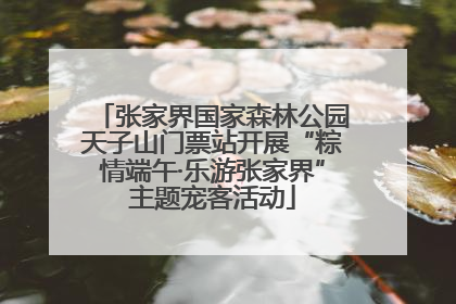 张家界国家森林公园天子山门票站开展“粽情端午·乐游张家界”主题宠客活动