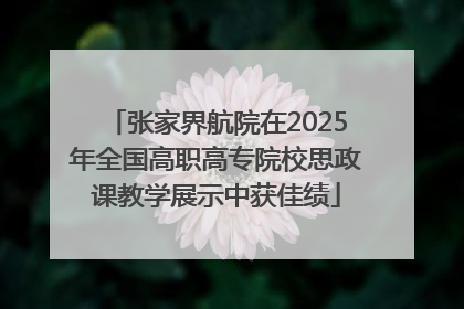 张家界航院在2025年全国高职高专院校思政课教学展示中获佳绩