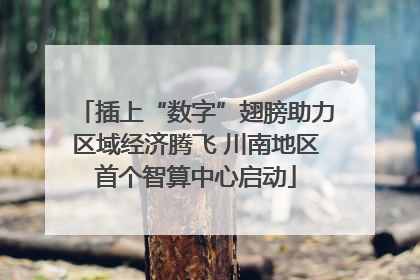 插上“数字”翅膀助力区域经济腾飞 川南地区首个智算中心启动