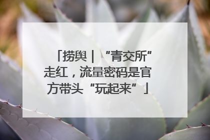 捞舆｜“青交所”走红，流量密码是官方带头“玩起来”