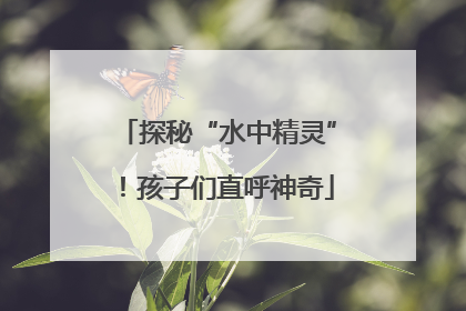 探秘“水中精灵”！孩子们直呼神奇